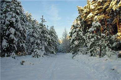 RTX 3060也将推出GDDR6X显存版本